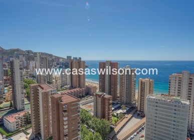 Apartamento - Venta - Benidorm - Benidorm