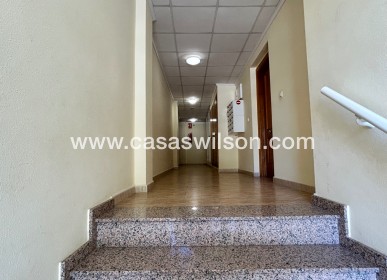 Apartamento - Venta - Jacarilla - pueblo