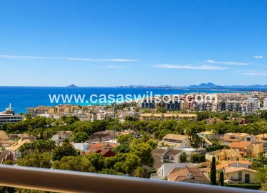 Apartamento - Venta - Orihuela Costa - Campoamor