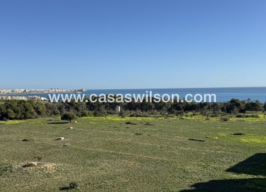 Apartamento - Venta - Punta Prima - Punta Prima