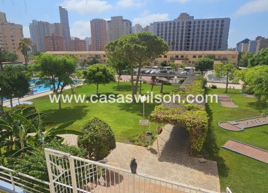 Apartment - Sale - Benidorm - Benidorm