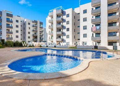 Apartment - Sale - San Miguel de Salinas - Inland