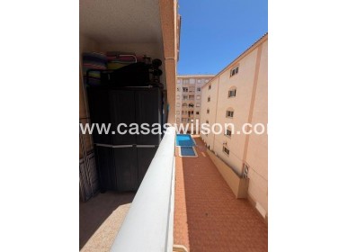Apartment - Sale - Torrevieja - Centro