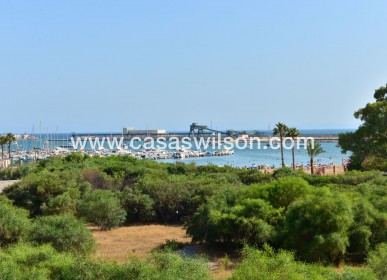 Apartment - Sale - Torrevieja - Costa Blanca