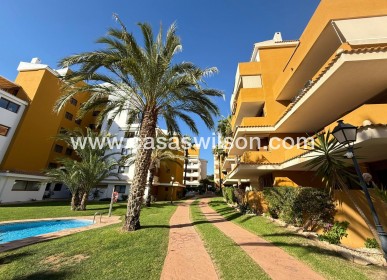 Apartment - Sale - Torrevieja - Punta prima