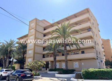 Appartement - Bestaande bouw - Guardamar del Segura - Costa Blanca