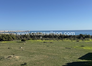 Appartement - Bestaande bouw - Punta Prima - Costa Blanca