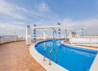 Appartement - Bestaande bouw - Torrevieja - Parque Acuático - Sector 25
