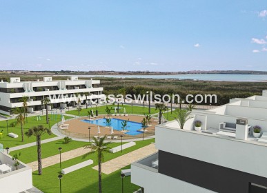 Appartement - Nieuwbouw - Guardamar del Segura - EL RASO