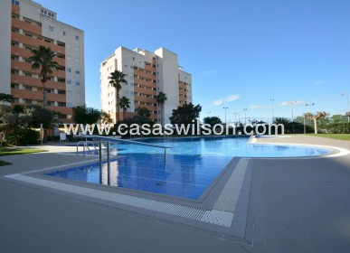 Appartement - Sale - Guardamar del Segura - Costa Blanca
