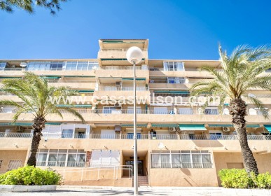 Appartement - Sale - Guardamar del Segura - Costa Blanca