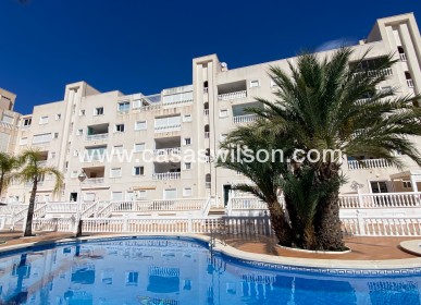 Appartement - Sale - Guardamar del Segura - El Eden