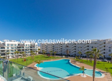 Appartement - Sale - Guardamar del Segura - EL RASO