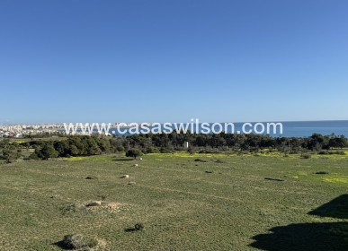 Appartement - Sale - Punta Prima - Punta Prima