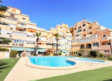 Appartement - Sale - Torrevieja - Nueva Torrevieja