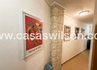 Bestaande bouw - Appartement - Torrevieja - Centro