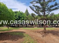 Bestaande bouw - Appartement - Torrevieja - Costa Blanca