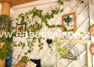 Bestaande bouw - Appartement - Torrevieja - Costa Blanca