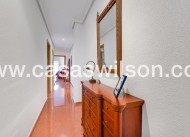 Bestaande bouw - Appartement - Torrevieja - Paseo maritimo