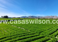 Bestaande bouw - Bungalow - Orihuela