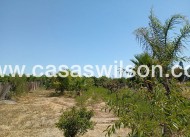 Bestaande bouw - Country Property - Daya Nueva