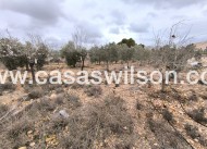 Bestaande bouw - Country Property - La Romana - Inland