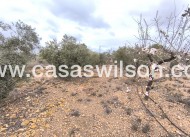 Bestaande bouw - Country Property - La Romana - Inland