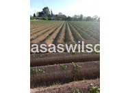 Bestaande bouw - Country Property -  - LOS DESAMPARADOS