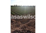Bestaande bouw - Country Property -  - LOS DESAMPARADOS