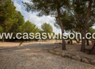 Bestaande bouw - Country Property - 