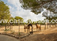 Bestaande bouw - Country Property - 