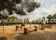Bestaande bouw - Country Property - 