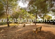 Bestaande bouw - Country Property - 