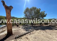 Bestaande bouw - Country Property - 