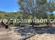 Bestaande bouw - Country Property - 