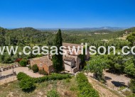 Bestaande bouw - Finca / Country House - Felanitx - Mallorca