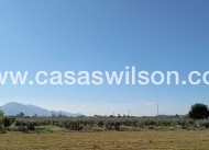 Bestaande bouw - Townhouse - Catral - Costa Blanca