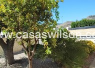 Bestaande bouw - Villa - La Romana - Inland