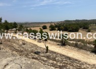 Bestaande bouw - Villa - San Miguel de Salinas - San Miguel Salinas
