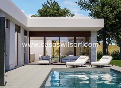 Chalet - Nueva construcción  - Pinoso - Lel