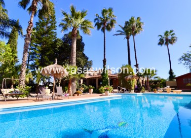 Country Property - Bestaande bouw - Rojales - Heredades