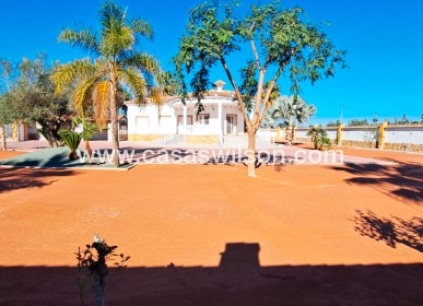 Country Property/Finca - Sale - Catral - Catral