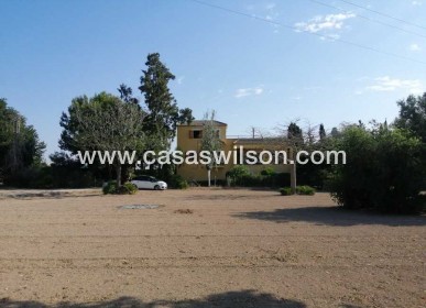 Country Property/Finca - Sale - Daya Nueva - Daya Nueva