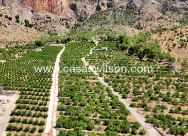 Country Property/Finca - Sale - Orihuela - Orihuela