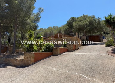 Country Property/Finca - Sale - Orihuela - Torremendo