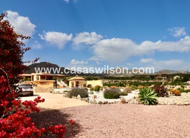 Country Property - Sale - Albatera - Albatera