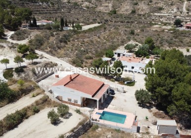 Country Property - Sale - Crevillente - Inland