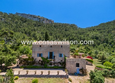 Finca / Country House - Bestaande bouw - Felanitx - Mallorca