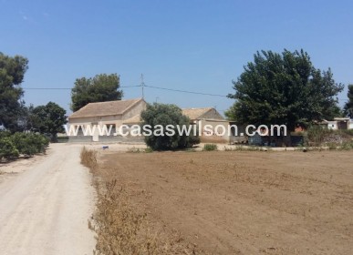 Finca - Venta - Daya Nueva - Costa Blanca