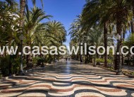 New Build - Apartment - Alicante - Centro